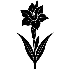 black and white flower