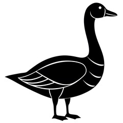 illustration of a duck