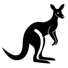 kangaroo illustration