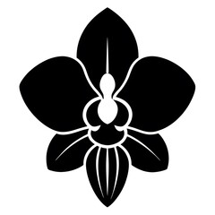 black and white flower