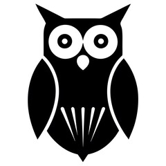 owl on white background