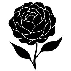 vector rose flower