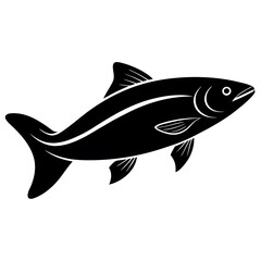 fish on a white background