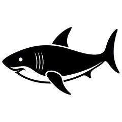 fish isolated on white