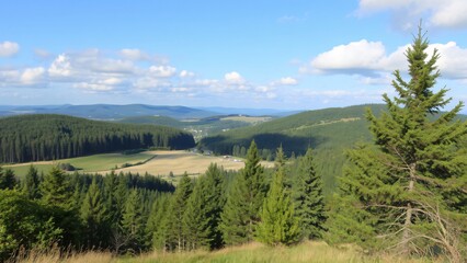 Obraz premium Panoramic View of a Rolling Green Valley with Lush Forests and a Blue Sky
