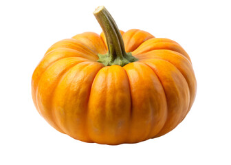 Obraz premium pumpkin clipart image on transparent background