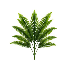 Lush Green Fern Plant with Multiple Fronds Isolated on White Background
