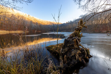 Sunny winter morning at the lakeshore with large rootstock in foreground and ice and forest in background, Eutin, Ukleisee, Schleswig-Holstein, Northern Germany 