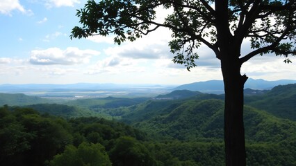 Panoramic Mountain Vista with Silhouetted Tree