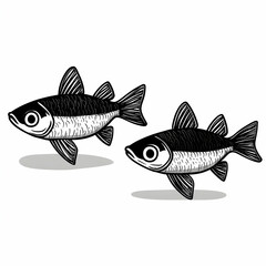 Obraz premium Two Fish Illustration Swimming Gracefully with Detailed Fins and Scales on White Background