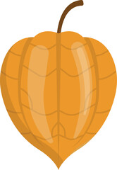 Obraz premium Phisalis Fruit Cartoon Ilustration Design