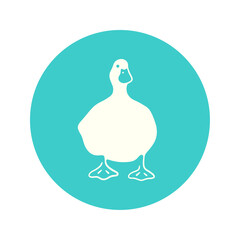 アヒルの白線画のイラスト素材
