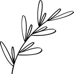 leaf line art decoration vector