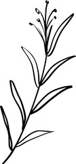leaf line art decoration vector