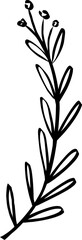leaf line art decoration vector
