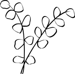 leaf line art decoration vector