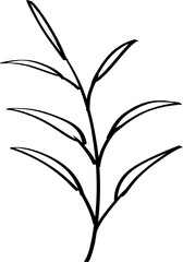 leaf line art decoration vector
