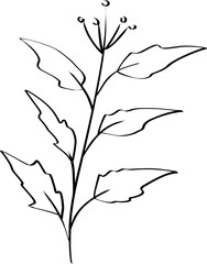 leaf line art decoration vector