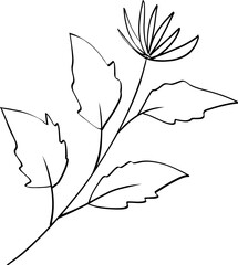 leaf line art decoration vector