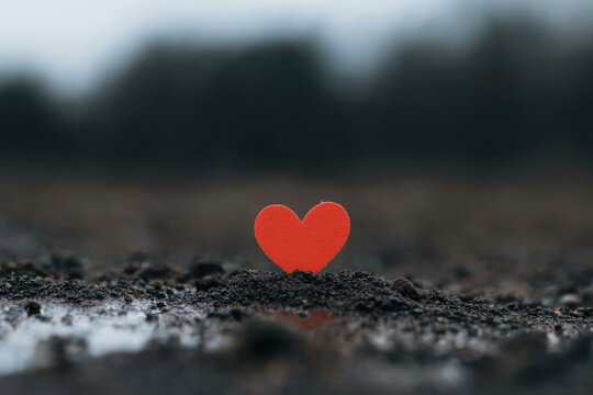 Red heart growing in wet soil symbolizing love and hope