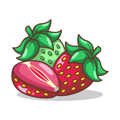 hand drawn strawberry fruit illustration art

