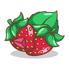 hand drawn strawberry fruit illustration art

