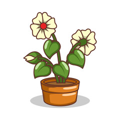 Home plant cartoon style. potted plant isolated on white

