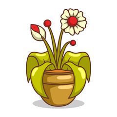 Home plant cartoon style. potted plant isolated on white


