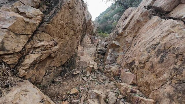 Off the Beaten Path: Exploring the Rugged Beauty of the Aravalli Range