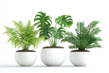 Obraz premium Lush Green Plants in White Pots Minimalist Design