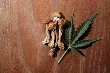 Dried psilocybin mushrooms 