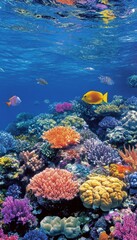 Vibrant and Colorful Coral Reef Ecosystem teeming with marine life, Great Barrier Reef