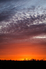 Very beautiful colorful sunset in the spring countryside