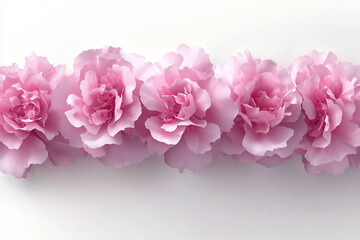 Fototapeta premium peony border, isolated on white background