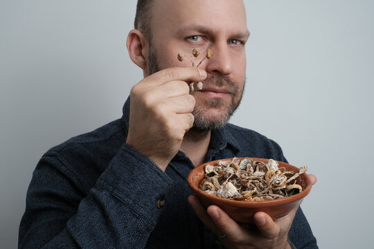 Dried Psilocybin mushrooms Psilocybe cubensis "Golden Teacher" in the hands of a middle-aged man. Concept of microdosing using natural psychedelics