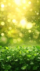 Obraz premium Sunlit Green Clover Field, Freshness And Growth In Spring Nature Background With Glowing Copy Space