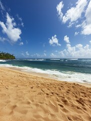 Fototapeta premium Sunny Tropical Beach with Clear Blue Sky and Ocean Waves