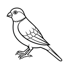 Hand-Drawn Canaries Vector Illustration Sketch
