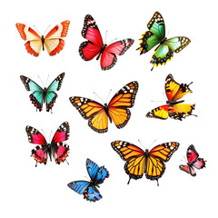 Collection of Colorful Butterflies Soaring on White Background, Expressing Freedom and Beauty Transparent Background. Remove Background