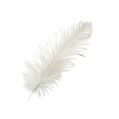 Obraz premium Single White Ostrich Feather, Laying Flat on White Background, Showing Delicate Texture and Fluffy Appearance, Expressing Elegance and Exoticism Transparent Background. Remove Background