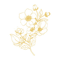 A feminine botanical logo featuring delicate vector design