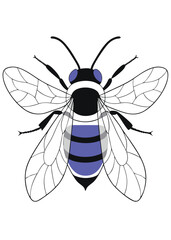 A small bee or dragonfly illustration vector design