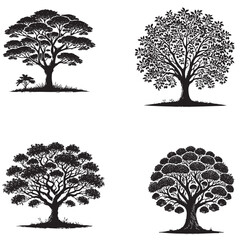 4 set of Vector Silhouette of the Chicle Tree Isolated on a White Background" 