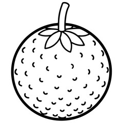 Lychee Line art vector with white background