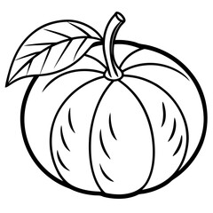 Mandarin Line art vector with white background