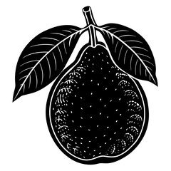vector illustration of pear