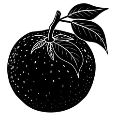 Clementine Silhouette vector with white background