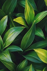 Obraz premium Green leaves with a sunlit background, a spring nature banner concept for healthy lifestyle or environmental protection themes. 