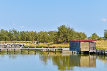 Fototapeta premium Valli di Comacchio