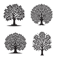 "Monochrome Vector Silhouette of the Indian Laurel Tree Isolated on a White Background"